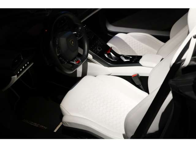 �C���e���A�J���[:Nero Ade/Bianco Leda