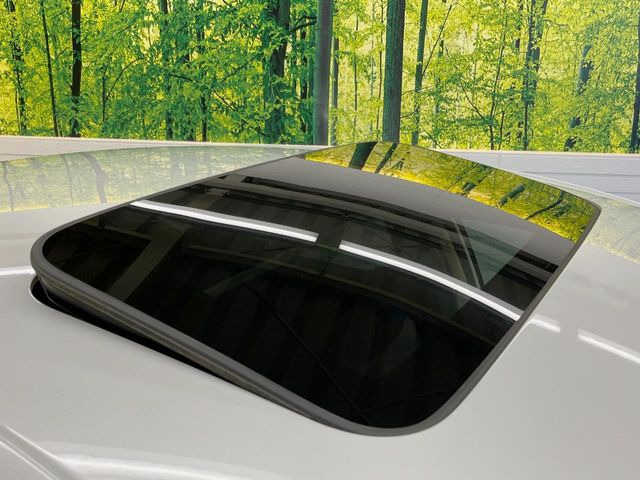 �y�T�����[�t�z�J���������Ղ�̊󏭑����A�T�����[�t����������Ă��܂�!�ԓ��ɖ�����������ꂽ��i�F���y���ވȊO�ɂ��A�ԓ��̋�C���ȒP�Ɋ��C�ł��ĉ��K�ł�!