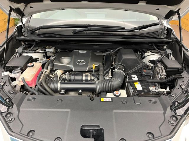 �e�؁E���J�Ȑ�僁�J�j�b�N�X�^�b�t������!�E�Ԍ��E�_�������E���̓��̏C���ȂǃA�t�^�[�T�[�r�X�����S�B���Ԃ̃J�X�^�}�C�Y���l�N�X�e�[�W�̃T�[�r�X�X�^�b�t�܂ł����k��������!