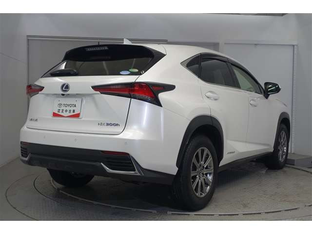 NX300h Iパッケージ