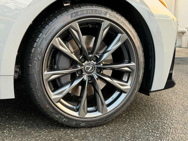 F�X�|�[�c��p19�C���`�A���~�z�C�[���B