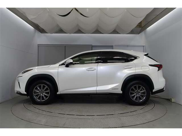 NX300h Iパッケージ