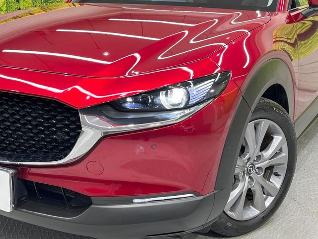 �yLED�w�b�h���C�g�z���V����ԑ��s�����ǍD�Ȏ��E���m�ۂ����S���ĉ^�]�ł��鍂�P�xLED�w�b�h���C�g�𑕔�!�_�����x�������A����d�͂��}�����Ă��܂��B