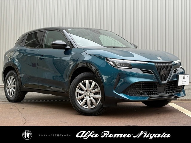 ジュニアイブリダ プレミアム