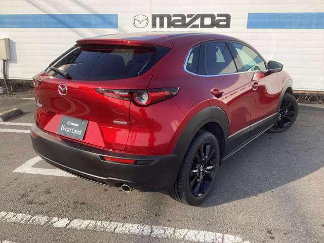 CX-302.0 20S