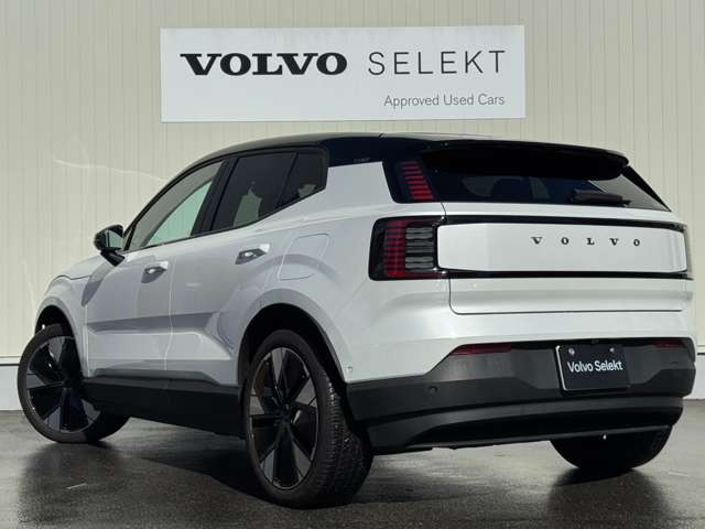 EX30ウルトラ シングルモーター エクステンデッド レンジ