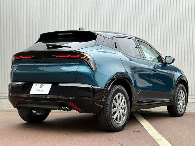 ジュニアイブリダ プレミアム