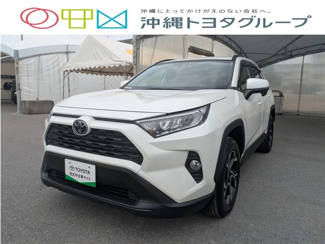 RAV42.0 X