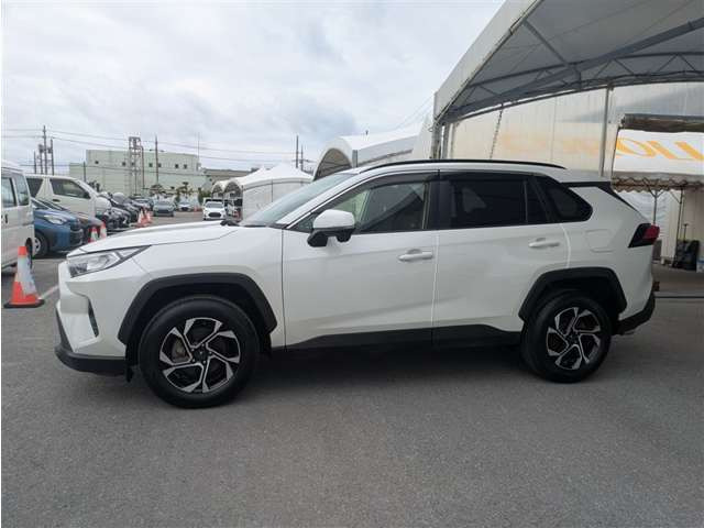RAV42.0 X