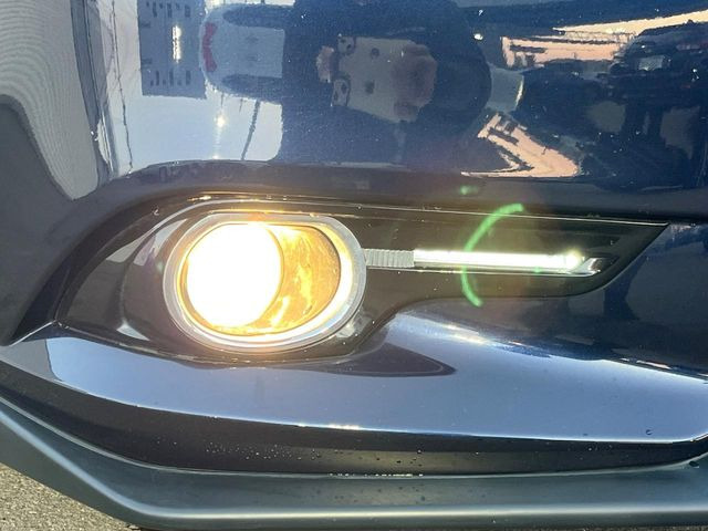 �yLED�A�N�Z�T���[���C�i�[�E�t�H�O�z