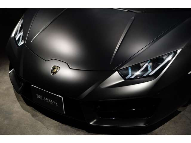 �v���e�N�V�����t�B�����{�H�ς�