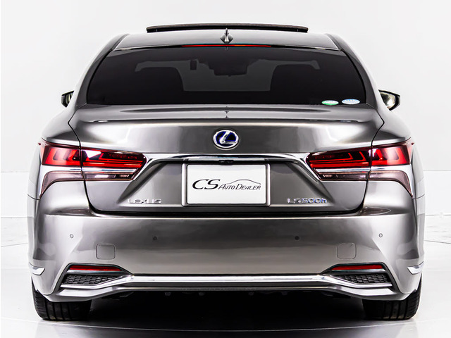 �l�C�{�f�B�J���[�}���K�����X�^�[!