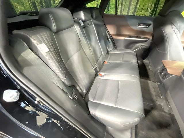 �㕔���Ȃ��C�ɂȂ�悤�ȃL�Y�E�����ւ��蓙�A�傫�ȃ_���[�W�͂Ȃ��A�ǍD�ȏ�Ԃł��B