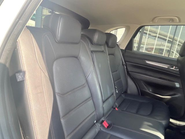 �㕔���Ȃ��C�ɂȂ�悤�ȃL�Y�E�����ւ��蓙�A�傫�ȃ_���[�W�͂Ȃ��A�ǍD�ȏ�Ԃł��B