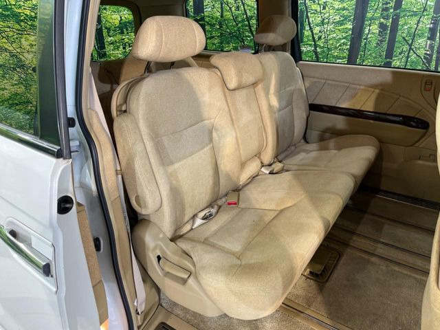 �㕔���Ȃ��C�ɂȂ�悤�ȃL�Y�E�����ւ��蓙�A�傫�ȃ_���[�W�͂Ȃ��A�ǍD�ȏ�Ԃł��B