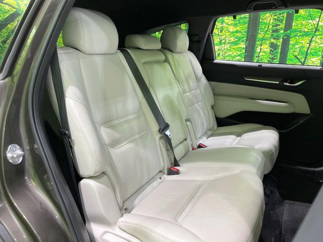 �㕔���Ȃ��C�ɂȂ�悤�ȃL�Y�E�����ւ��蓙�A�傫�ȃ_���[�W�͂Ȃ��A�ǍD�ȏ�Ԃł��B