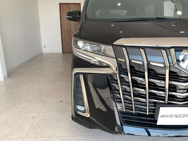 ��ԑ��s��R�����s�ł����E�ǍD��LED�w�b�h���C�g&LED�t�H�O�����v�t��!