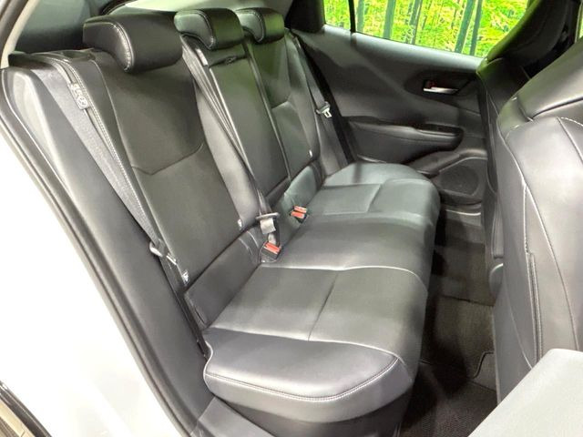 �㕔���Ȃ��C�ɂȂ�悤�ȃL�Y�E�����ւ��蓙�A�傫�ȃ_���[�W�͂Ȃ��A�ǍD�ȏ�Ԃł��B