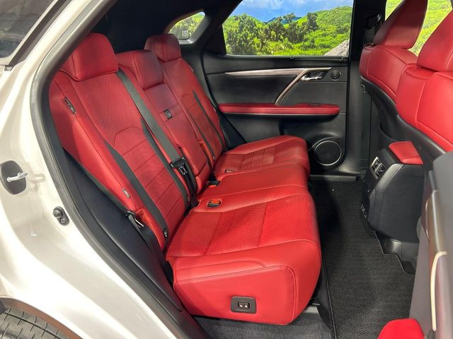 �㕔���Ȃ��C�ɂȂ�悤�ȃL�Y�E�����ւ��蓙�A�傫�ȃ_���[�W�͂Ȃ��A�ǍD�ȏ�Ԃł��B