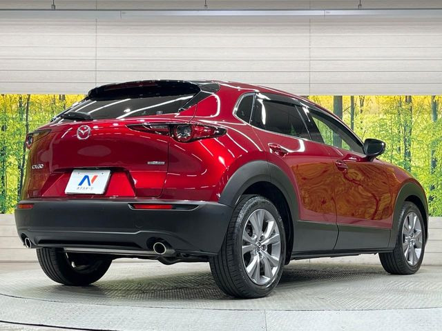 �����E�{�[�i�X�����s�v&�Œ�10�N�Ԃ̐ݒ肪�\�ȃI�[�g���[�������p�ӂ��Ă���܂�!�����̂Ȃ��x�����v�����ɂčw�����\�ł���