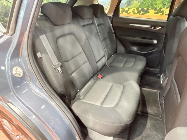 �㕔���Ȃ��C�ɂȂ�悤�ȃL�Y�E�����ւ��蓙�A�傫�ȃ_���[�W�͂Ȃ��A�ǍD�ȏ�Ԃł��B