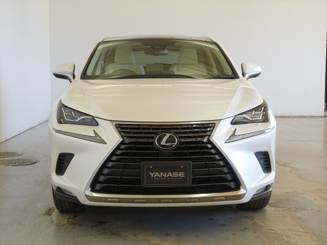 NX200t Iパッケージ