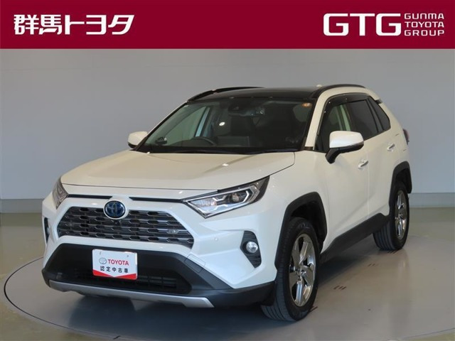RAV42.5 ハイブリッド G E-Four 4WD