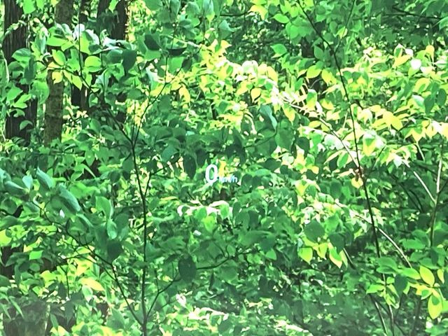 【ヘッドアップディスプレイ】現在の速度や走行情報をデジタル表示で運転席前方のガラスに投影!運転中、目線をずらさず必要な情報を確認できるのでとっても便利で安心!