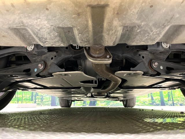 ����肪���ꂢ�Ȃ����ɁA�h�K���H�̎{�H���I�X�X���B�~��n��͂������A���ݕ��ɂ��Z���̕���A��Ń}�����E�E�B���^�[�X�|�[�c���������ɂ��D�]���������Ă���܂��B