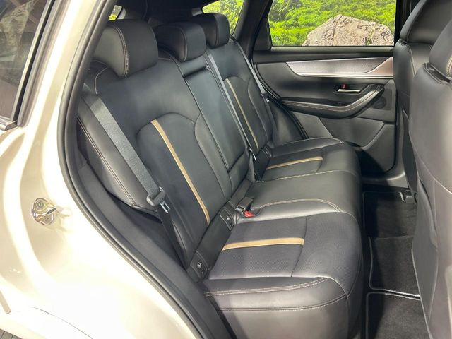 �㕔���Ȃ��C�ɂȂ�悤�ȃL�Y�E�����ւ��蓙�A�傫�ȃ_���[�W�͂Ȃ��A�ǍD�ȏ�Ԃł��B