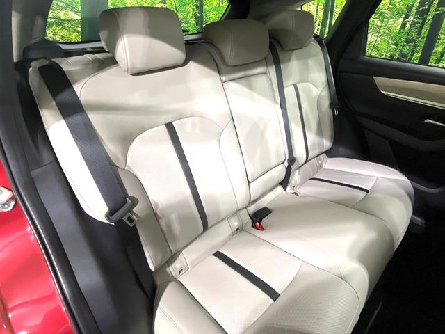 �㕔���Ȃ��C�ɂȂ�悤�ȃL�Y�E�����ւ��蓙�A�傫�ȃ_���[�W�͂Ȃ��A�ǍD�ȏ�Ԃł��B