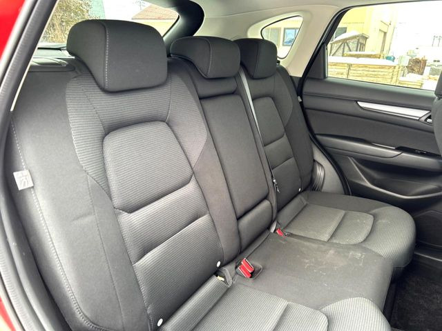 �㕔���Ȃ��C�ɂȂ�悤�ȃL�Y�E�����ւ��蓙�A�傫�ȃ_���[�W�͂Ȃ��A�ǍD�ȏ�Ԃł��B