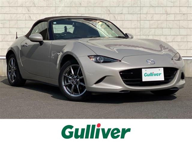 ロードスター1.5 ブラウン トップ