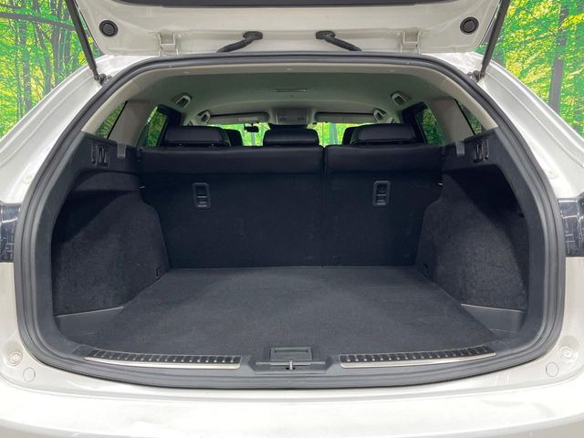 ���N���[���ȏ�Ԃ��L�[�v���������q�l�ɂ́w�i�m�]�[���R�[�g�x����������!�R���i�E�C���X�΍��A���ہE���L�Ɍ��ʂ𔭊��������̕��ɂ��D�]���������Ă���܂��B