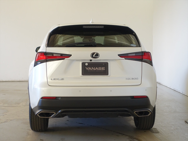 NX200t Iパッケージ