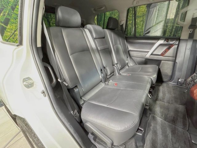 �㕔���Ȃ��C�ɂȂ�悤�ȃL�Y�E�����ւ��蓙�A�傫�ȃ_���[�W�͂Ȃ��A�ǍD�ȏ�Ԃł��B