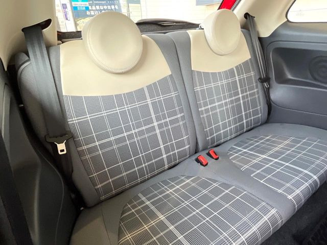 ���㕔���Ȃ��C�ɂȂ�悤�ȃL�Y�E�����ւ��蓙�A�傫�ȃ_���[�W�͂Ȃ��A�ǍD�ȏ�Ԃł��B