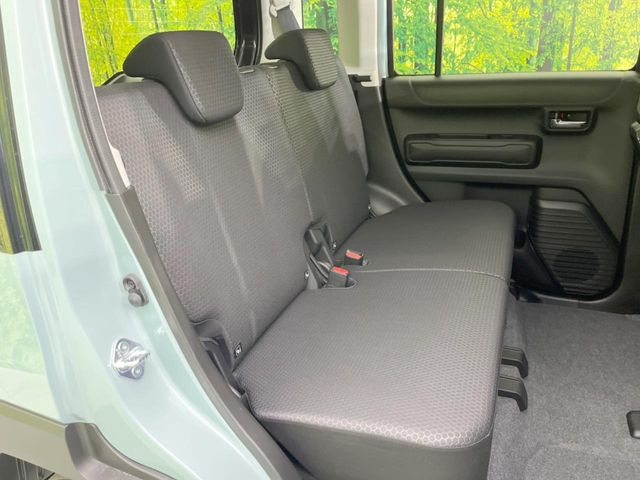 �㕔���Ȃ��C�ɂȂ�悤�ȃL�Y�E�����ւ��蓙�A�傫�ȃ_���[�W�͂Ȃ��A�ǍD�ȏ�Ԃł��B