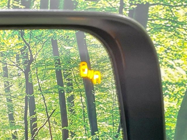 �y�u���C���h�X�|�b�g���[�j���O�z���s���A�h�A�~���[�̎��p�ɂȂ�₷���ӏ��Ɍ㑱�Ԃ��ڋ߂���ƃT�C�h�~���[�t�߂Ɍx����\���A�h���C�o�[�ɒ��ӊ��N�����Ă���܂��B