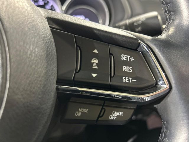 �y�}�c�_�E���[�_�[�N���[�Y�R���g���[���z�������H�ł̒��������s���y��!�����ő��x��ۂN���[�Y�R���g���[�����A�Փˌy���V�X�e���ƘA�g���A�O���̎ԗ������m���ĎԊԂ�ۂ悤�ɑ��x���߂��Ă���܂�!!