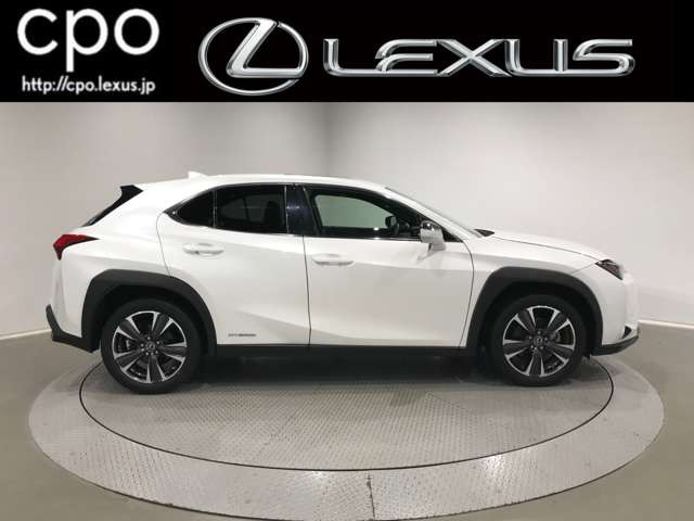 UX250h バージョンL