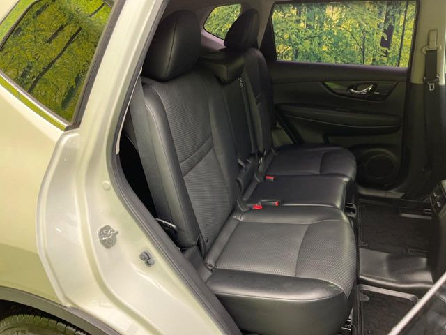 �㕔���Ȃ��C�ɂȂ�悤�ȃL�Y�E�����ւ��蓙�A�傫�ȃ_���[�W�͂Ȃ��A�ǍD�ȏ�Ԃł��B