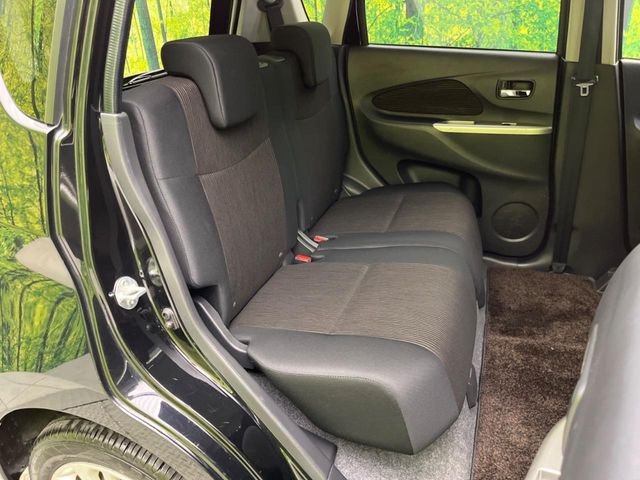 �㕔���Ȃ��C�ɂȂ�悤�ȃL�Y�E�����ւ��蓙�A�傫�ȃ_���[�W�͂Ȃ��A�ǍD�ȏ�Ԃł��B