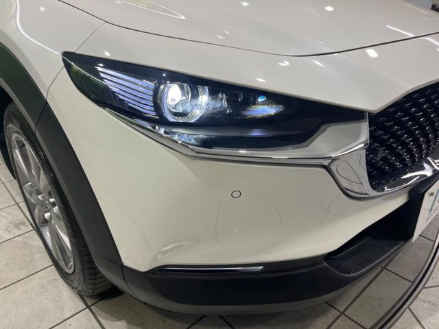 �yLED�w�b�h���C�g�z���V����ԑ��s�����ǍD�Ȏ��E���m�ۂ����S���ĉ^�]�ł��鍂�P�xLED�w�b�h���C�g�𑕔�!�_�����x�������A����d�͂��}�����Ă��܂��B