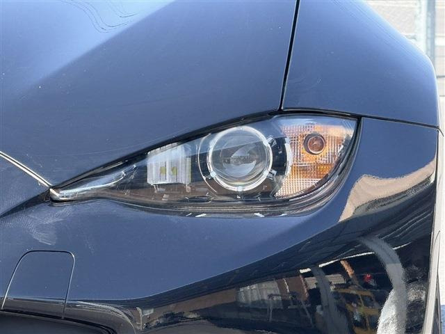 ���Ǝҗl�ւ̔̔��͂��f�肳���Ă��������܂��B �Ԍ������ԗ��̏ꍇ�́A�Ԍ����擾�������x�������z�ŕ\�����Ă���܂��B