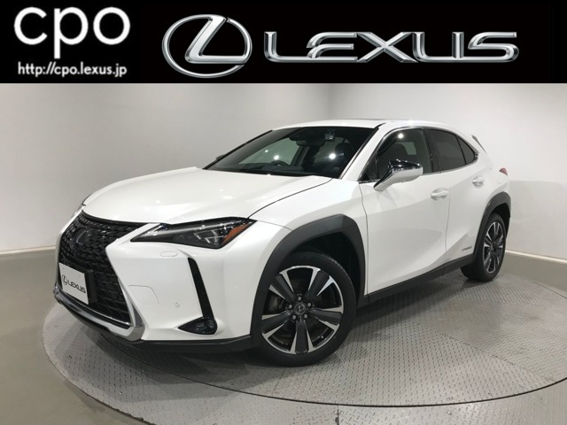 UX250h バージョンL