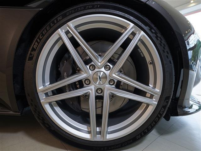 オプション:レザートリムレイン