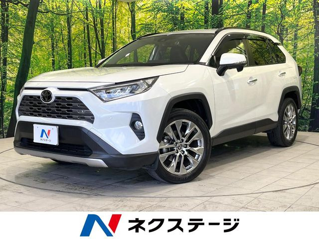 RAV4(トヨタ) 2.0 G Zパッケージ 4WD 中古車画像