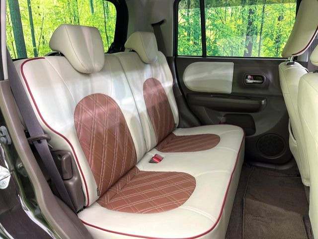 �㕔���Ȃ��C�ɂȂ�悤�ȃL�Y�E�����ւ��蓙�A�傫�ȃ_���[�W�͂Ȃ��A�ǍD�ȏ�Ԃł��B