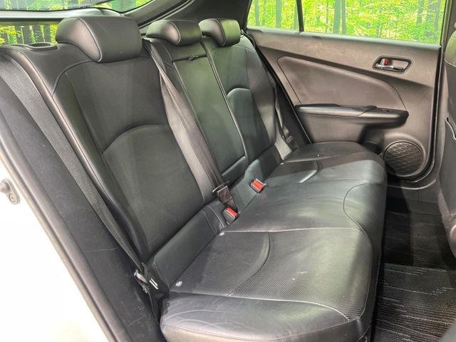 �㕔���Ȃ��C�ɂȂ�悤�ȃL�Y�E�����ւ��蓙�A�傫�ȃ_���[�W�͂Ȃ��A�ǍD�ȏ�Ԃł��B